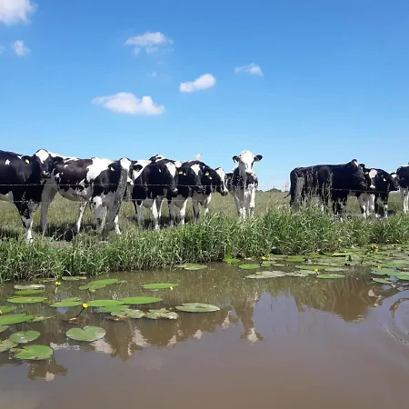 Hébergement de vacances Ferienhaus Blaue Nordseewelle *