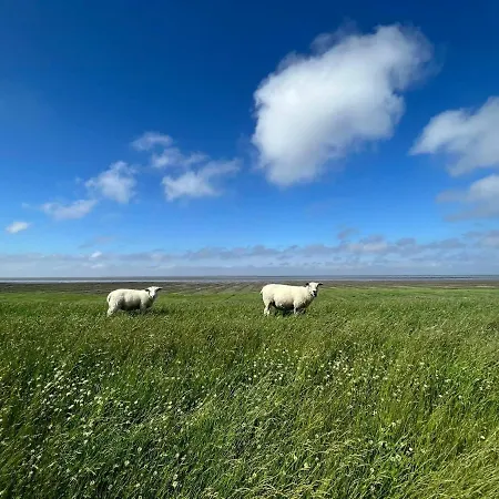 Ferienhaus Blaue Nordseewelle Hébergement de vacances Esens